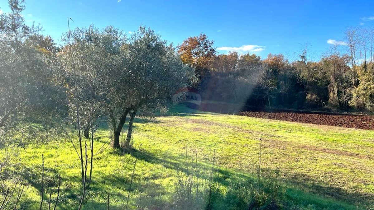 Zemljište Na prodaju - ISTARSKA UMAG