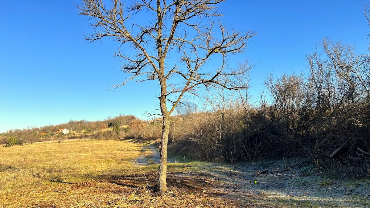 Zemljište Na prodaju - ISTARSKA UMAG