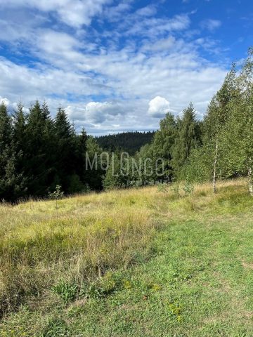 Terrain À vendre - Primorsko-goranska Lokve - foto 2/4