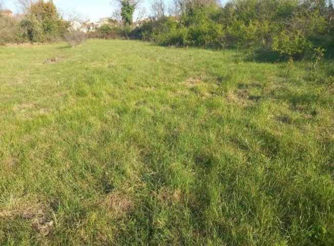 Land For sale - Istarska Svetvinčenat - foto 3/3