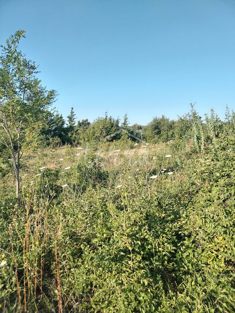 Land For sale - Istarska Labin - foto 2/3