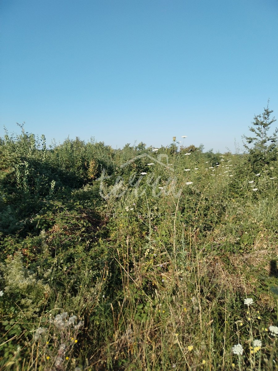 Land For sale - Istarska Labin - foto 3/3