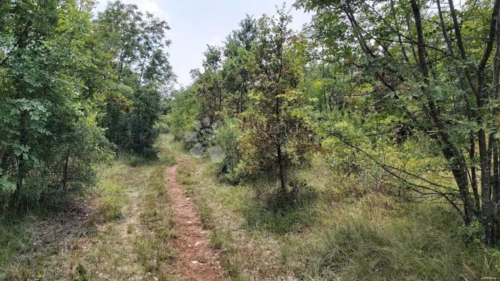 Land for sale 9320 m² – Manjadvorci