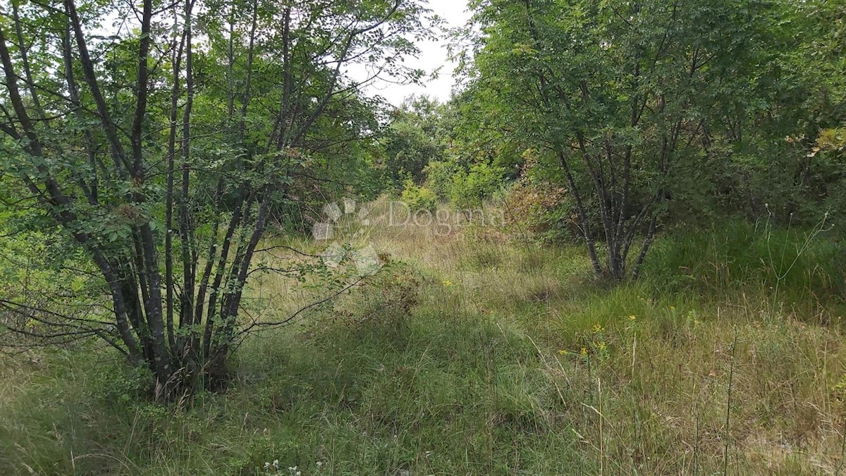 Terreno In vendita - ISTARSKA BARBAN