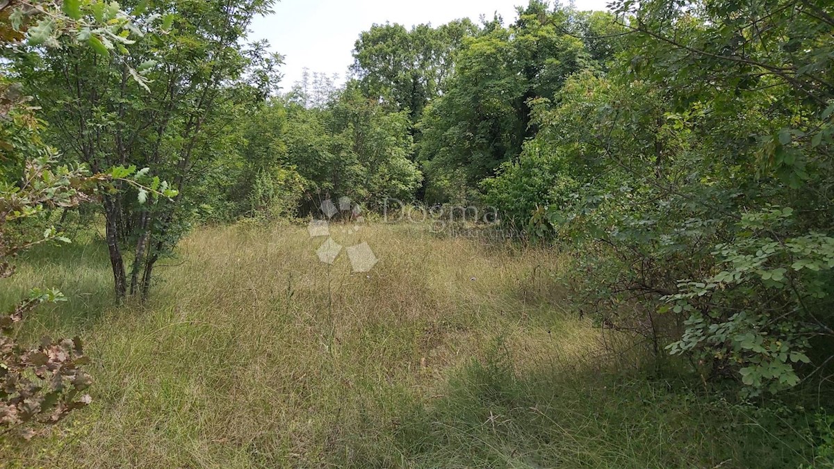Terreno In vendita - ISTARSKA BARBAN