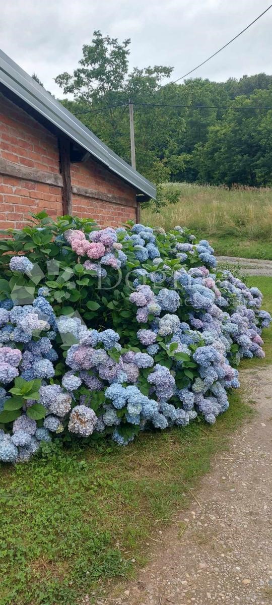 Dům Na prodej - KOPRIVNIČKO-KRIŽEVAČKA KOPRIVNICA