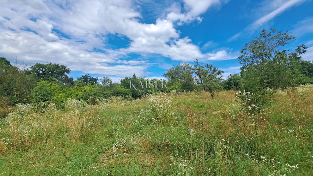 Terreno In vendita - ISTARSKA SVETA NEDELJA