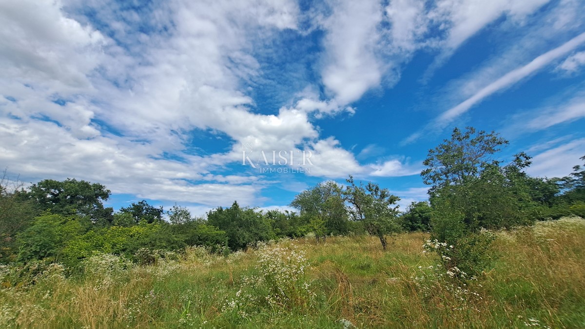 Land For sale - ISTARSKA SVETA NEDELJA