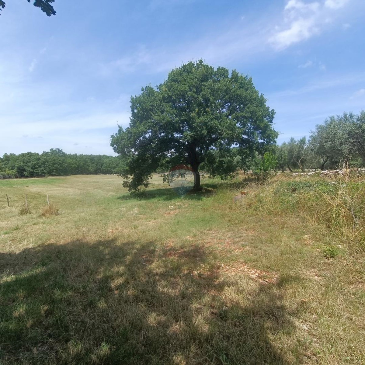 Parcela Naprodaj - ISTARSKA Sveti Lovreč