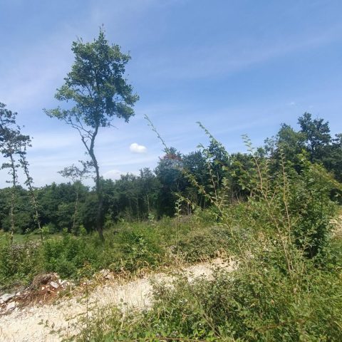 Działka na sprzedaż 1006 m² – Sveti Lovreč Pazenatički