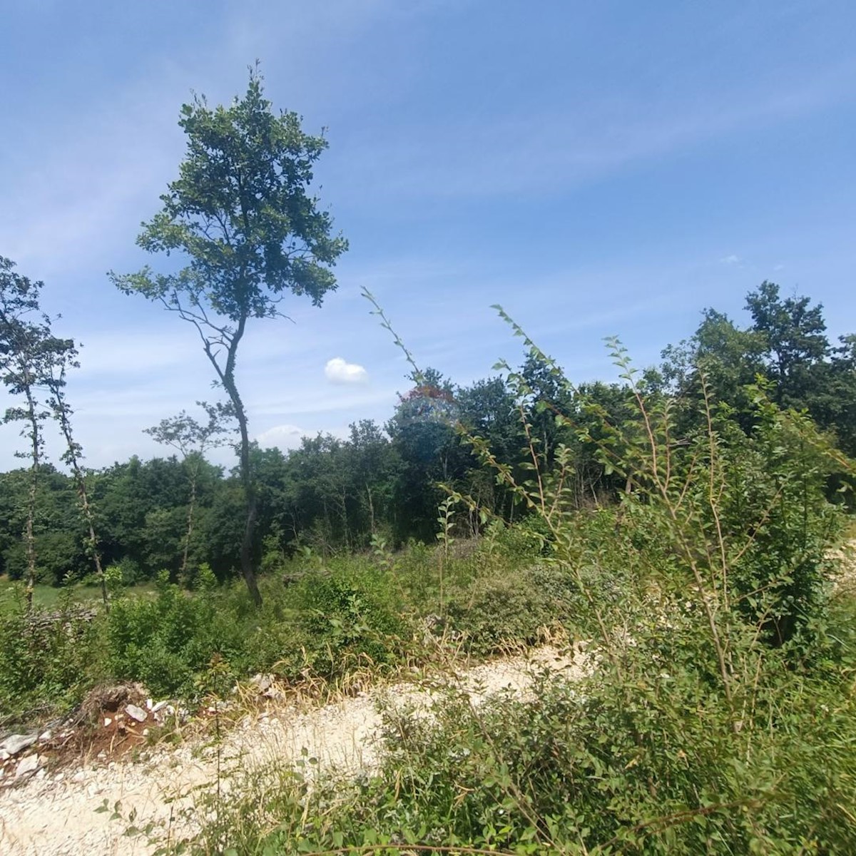Pozemek Na prodej SVETI LOVREČ PAZENATIČKI