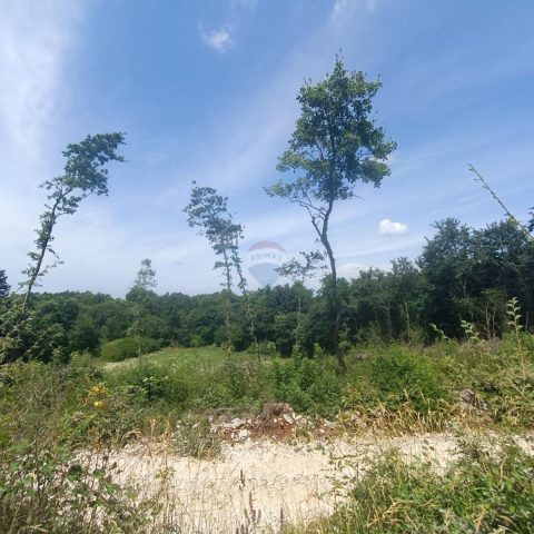 Działka na sprzedaż 871 m² – Sveti Lovreč Pazenatički