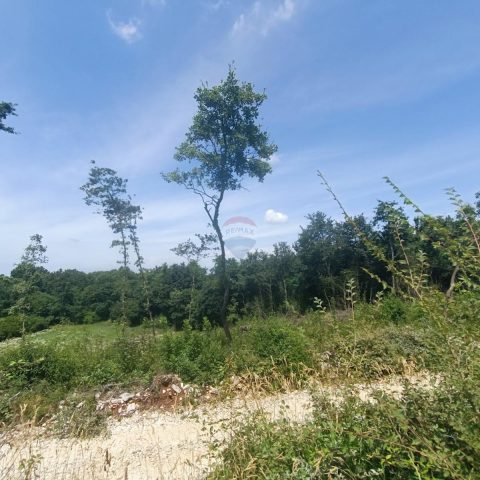 Pozemek Na prodej - Istarska Sveti Lovreč - foto 3/5