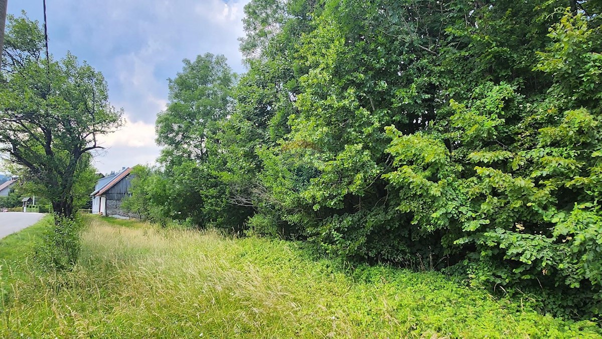 Terreno In vendita - PRIMORSKO-GORANSKA RAVNA GORA