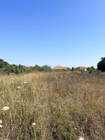 Terrain à vendre 1258 m² – Zaton