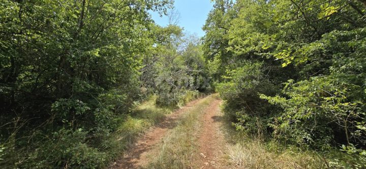 Zemljište na prodaju 20330 m² – Vodnjan