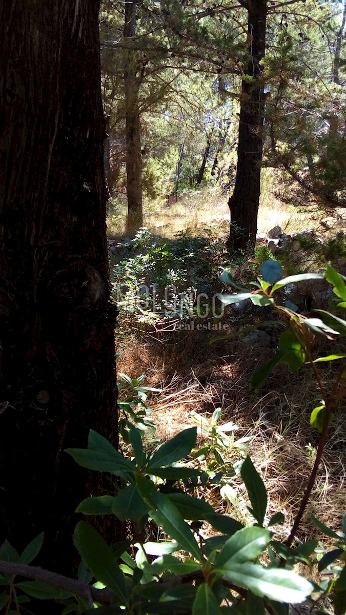 Terreno In vendita - SPLITSKO-DALMATINSKA SUPETAR