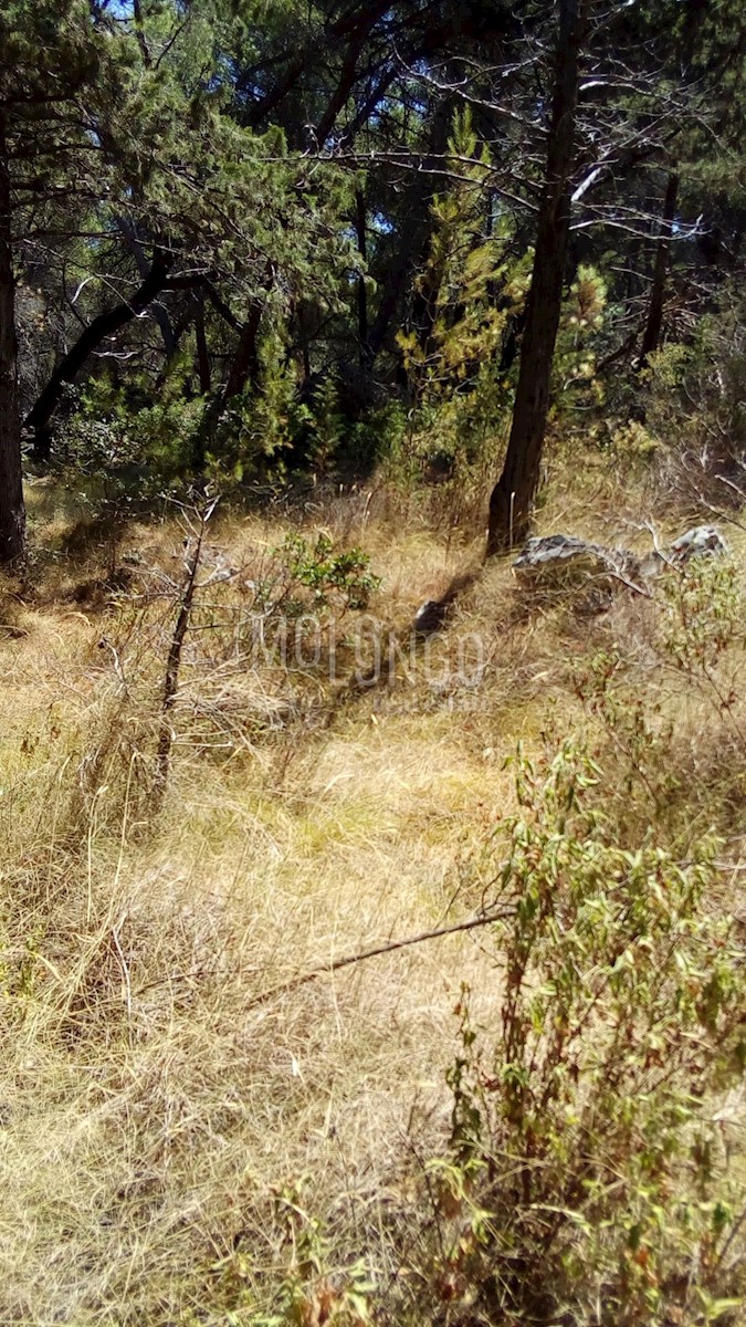 Terreno In vendita - SPLITSKO-DALMATINSKA SUPETAR