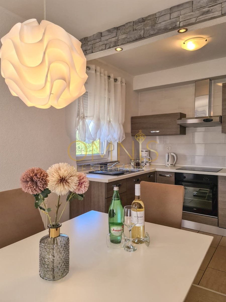 Apartmán K pronájmu - PRIMORSKO-GORANSKA JELENJE