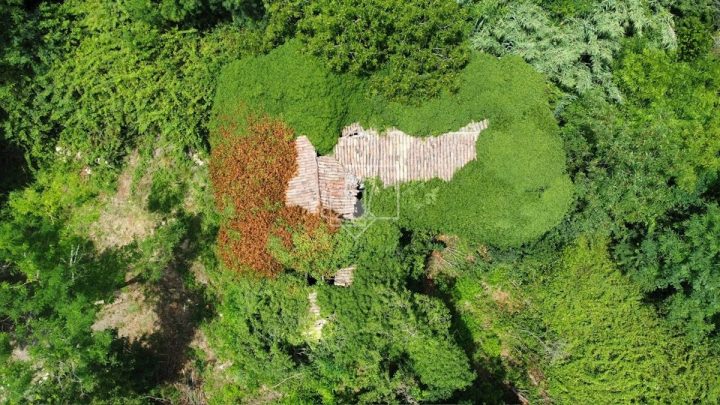Dom na sprzedaż 100 m² – Krasica