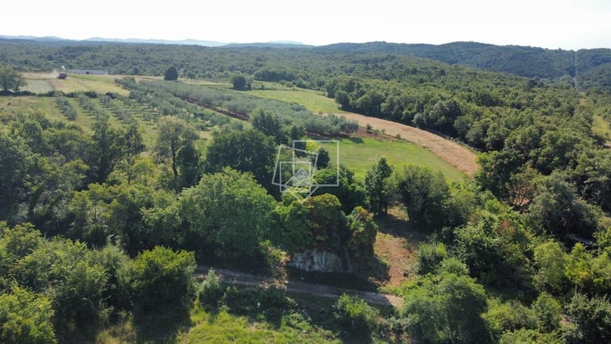 Kuća Na prodaju - ISTARSKA BUJE