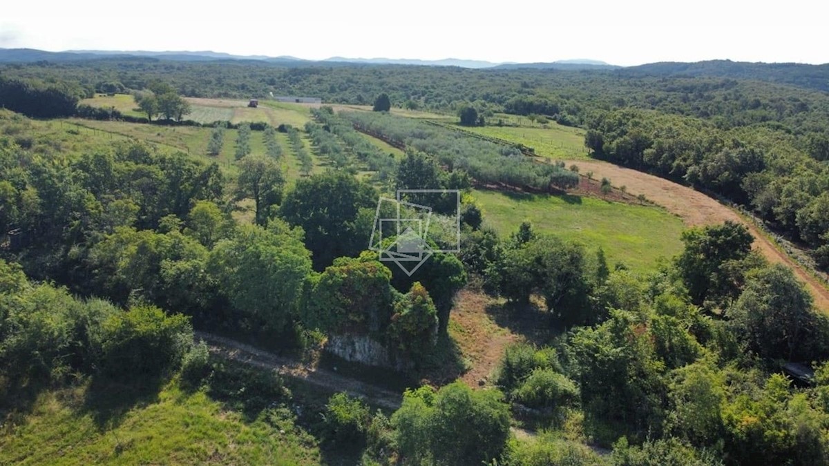 Kuća Na prodaju - ISTARSKA BUJE