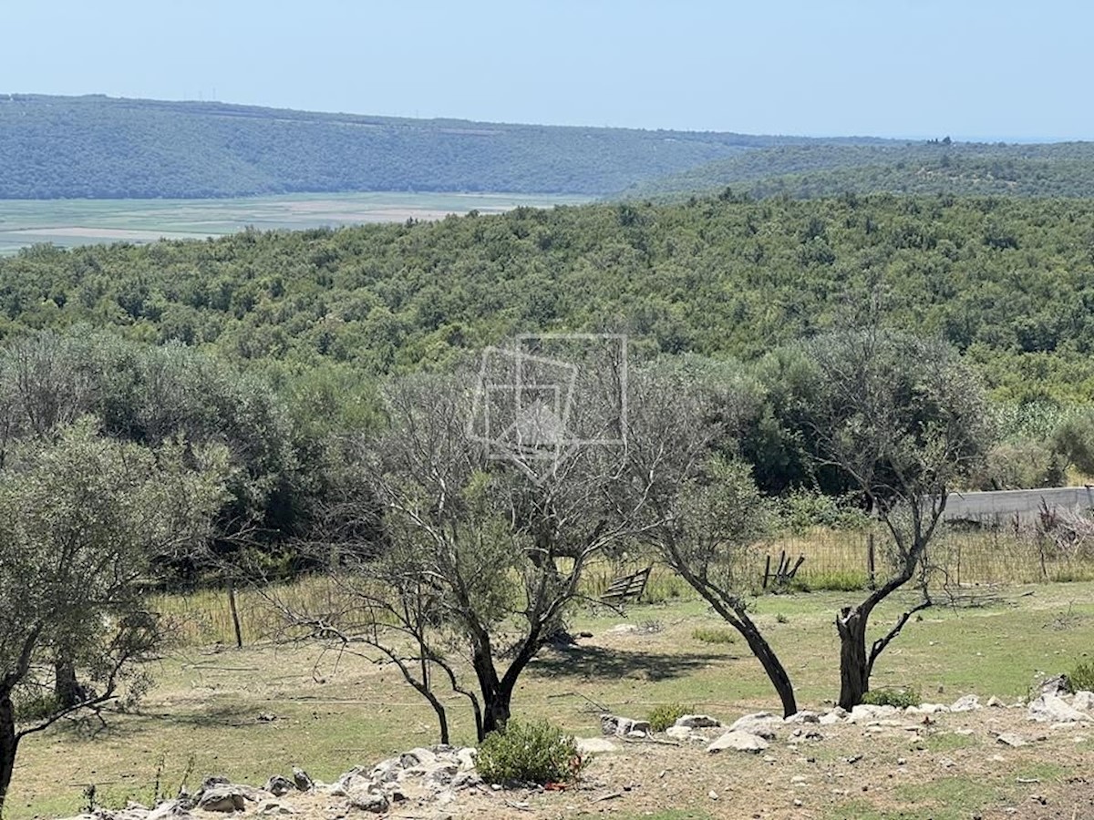 Terreno In vendita - ISTARSKA BUJE