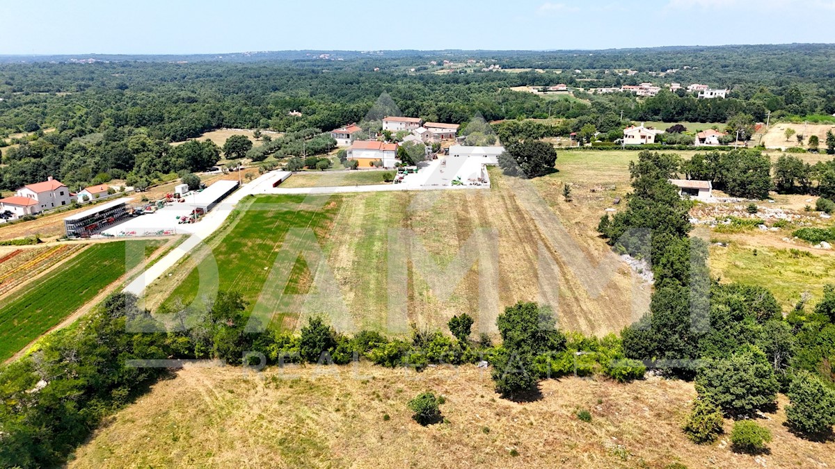 Terreno In vendita - ISTARSKA SVETI LOVREČ