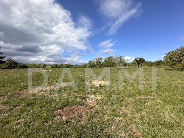 Parcela na predaj 13793 m² – Barban
