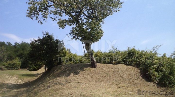 Pozemok Na predaj - Istarska Karojba - foto 2/6