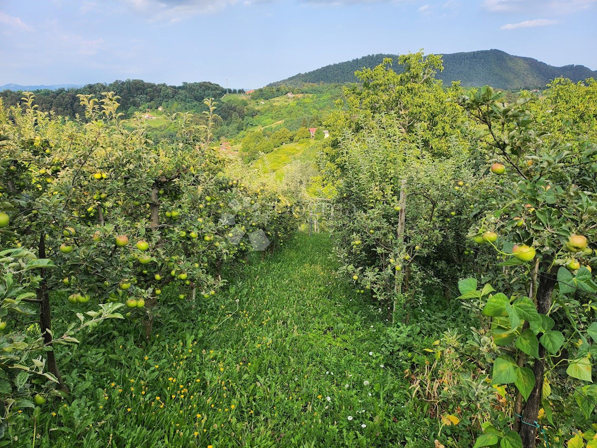Kuća Na prodaju - KRAPINSKO-ZAGORSKA PREGRADA