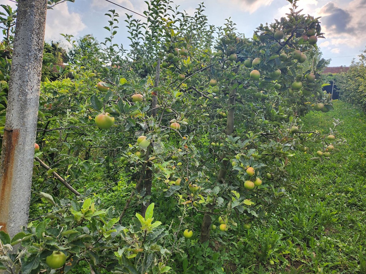 Kuća Na prodaju - KRAPINSKO-ZAGORSKA PREGRADA