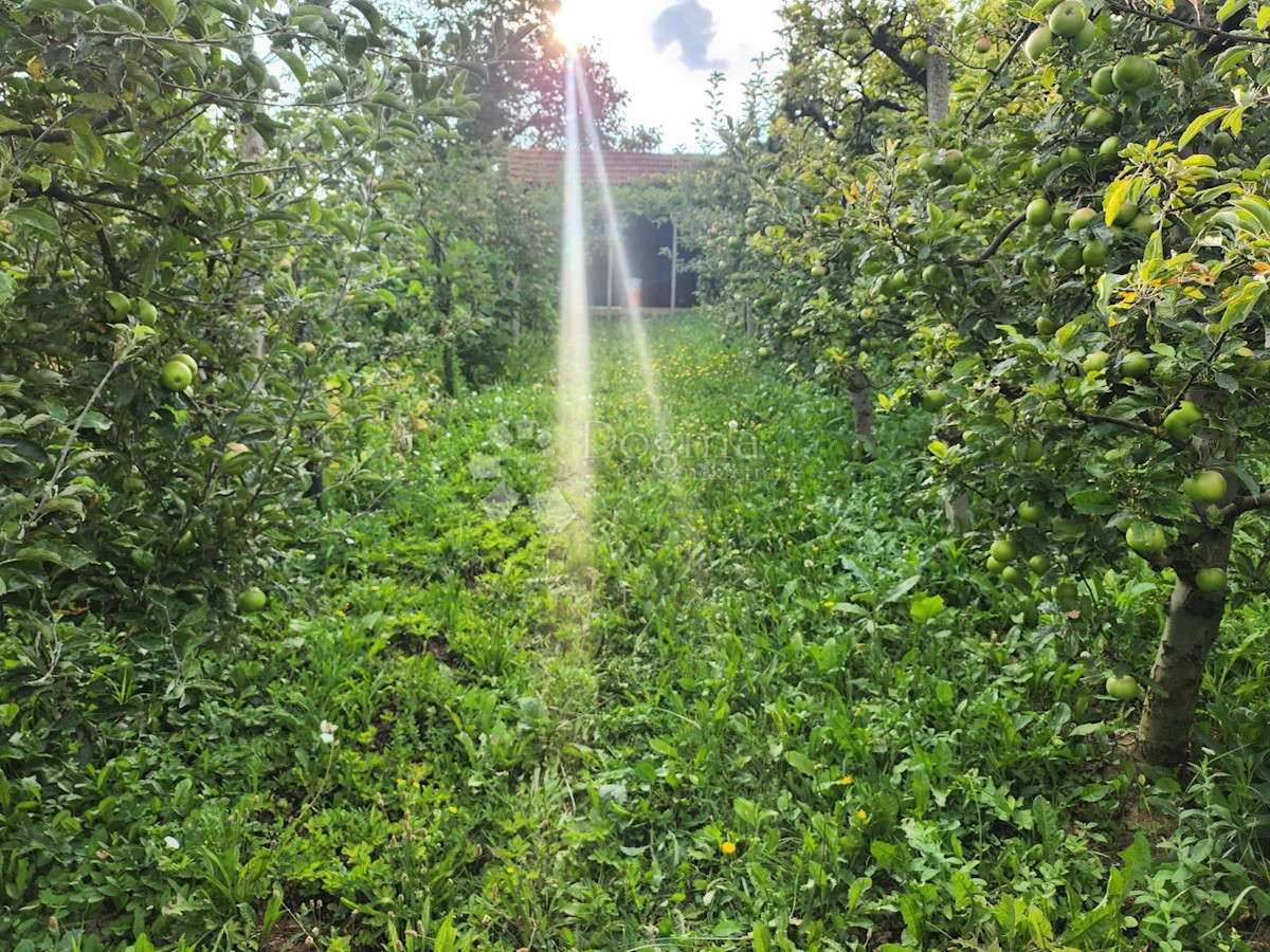 Kuća Na prodaju - KRAPINSKO-ZAGORSKA PREGRADA