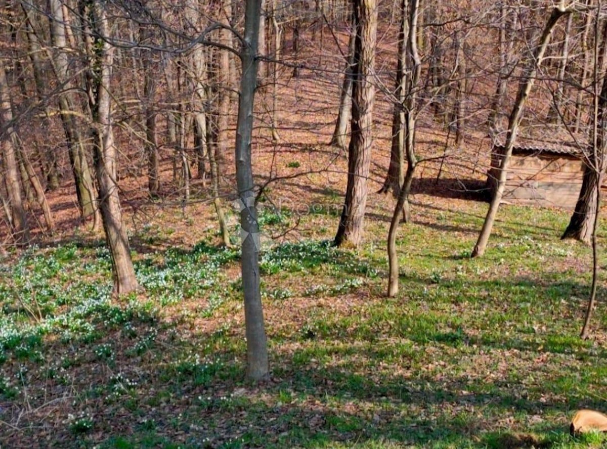 Casa In vendita - VARAŽDINSKA CESTICA