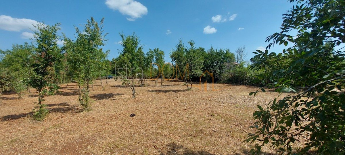 Terreno In vendita - ISTARSKA SVETVINČENAT