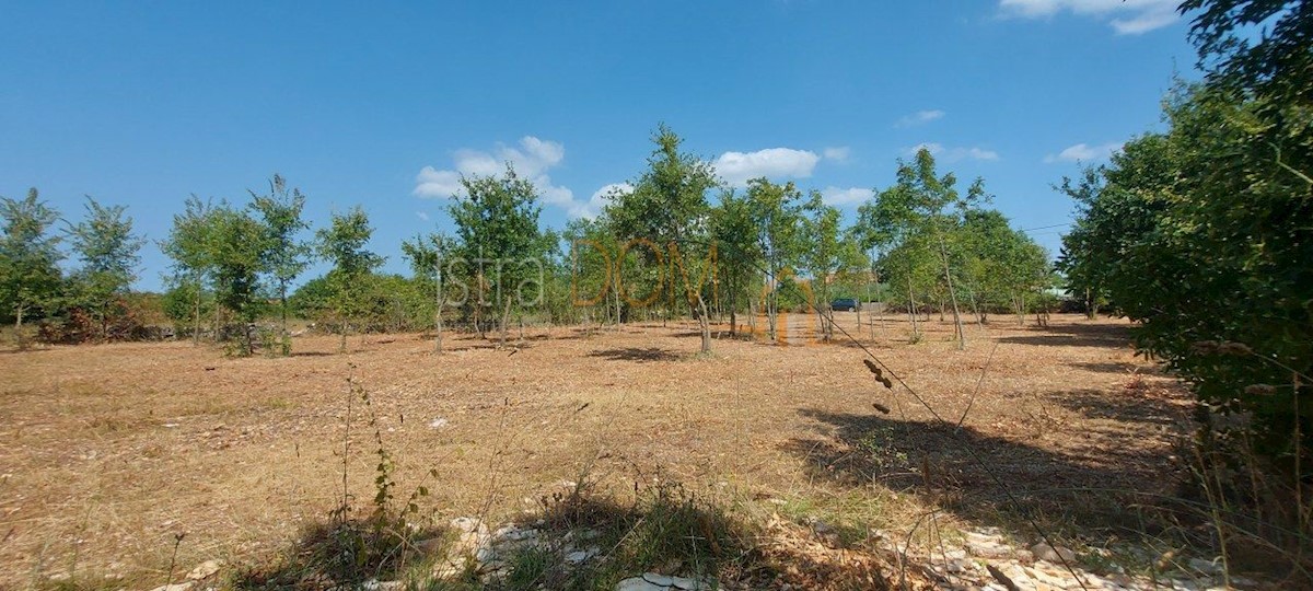 Terreno In vendita - ISTARSKA SVETVINČENAT