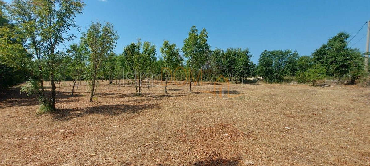 Terreno In vendita - ISTARSKA SVETVINČENAT