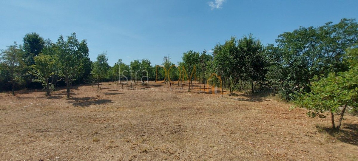 Terreno In vendita - ISTARSKA SVETVINČENAT