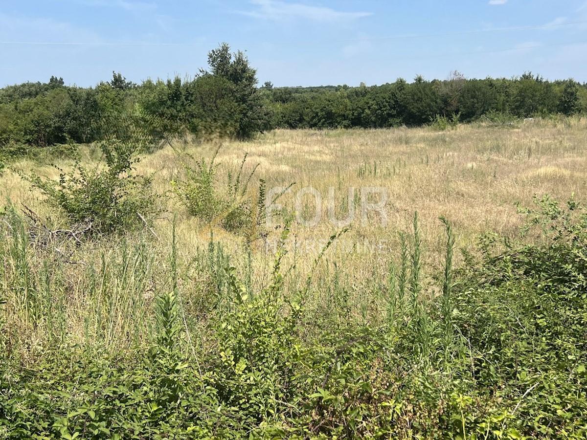 Terrain À vendre - Istarska Vodnjan - foto 2/9