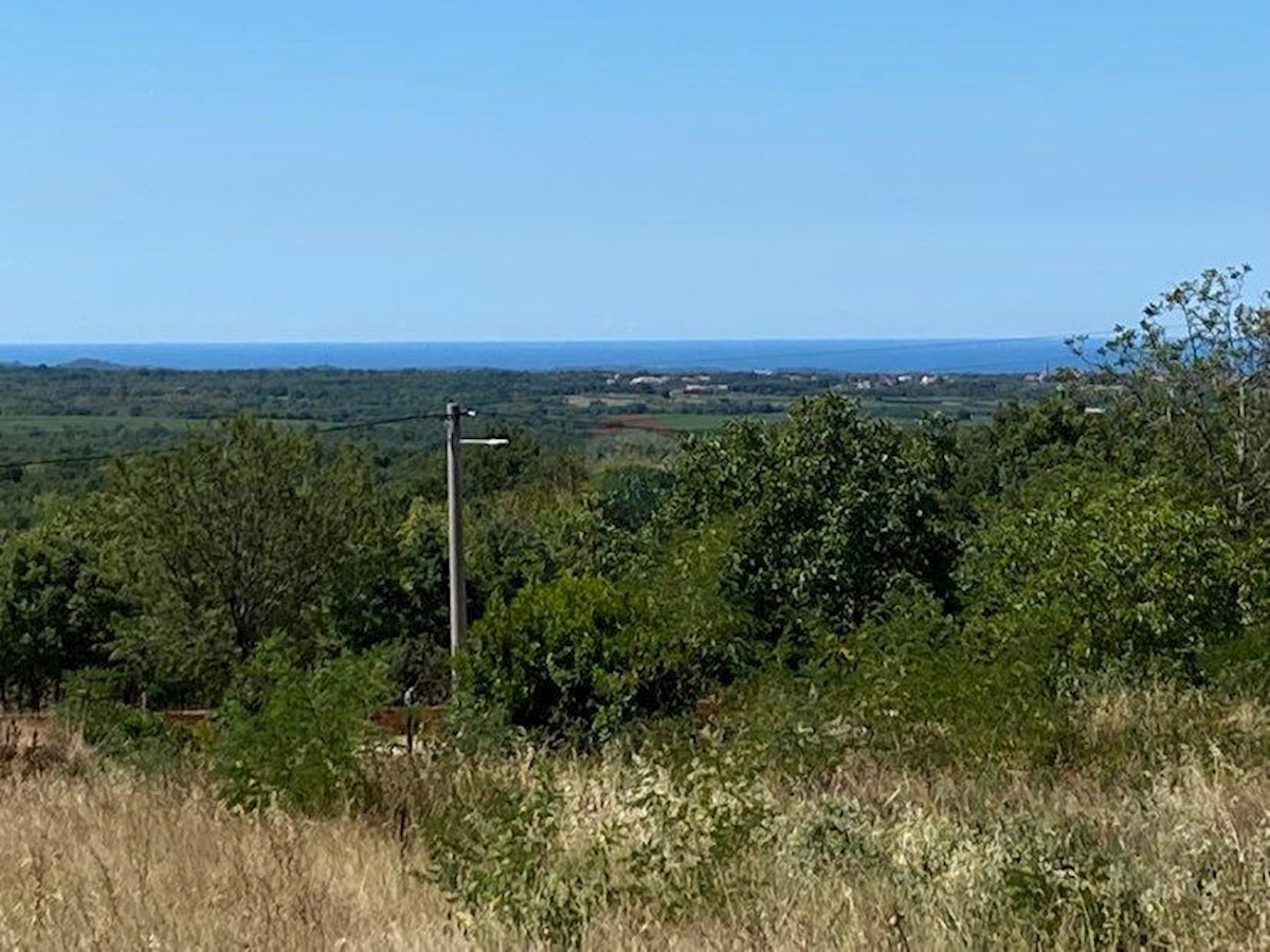 Land For sale - ISTARSKA VIŠNJAN