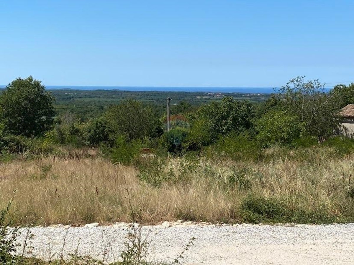 Land For sale - ISTARSKA VIŠNJAN