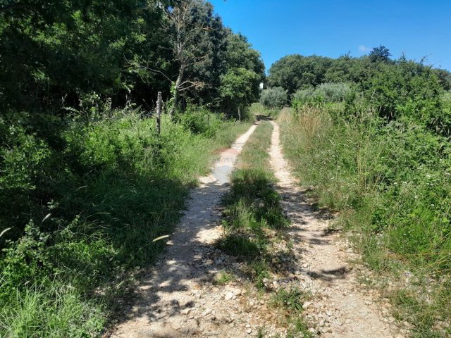 Zemljište na prodaju 1654 m² – Medulin