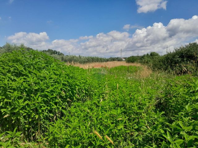 Parcela Naprodaj - Istarska Medulin - foto 3/3