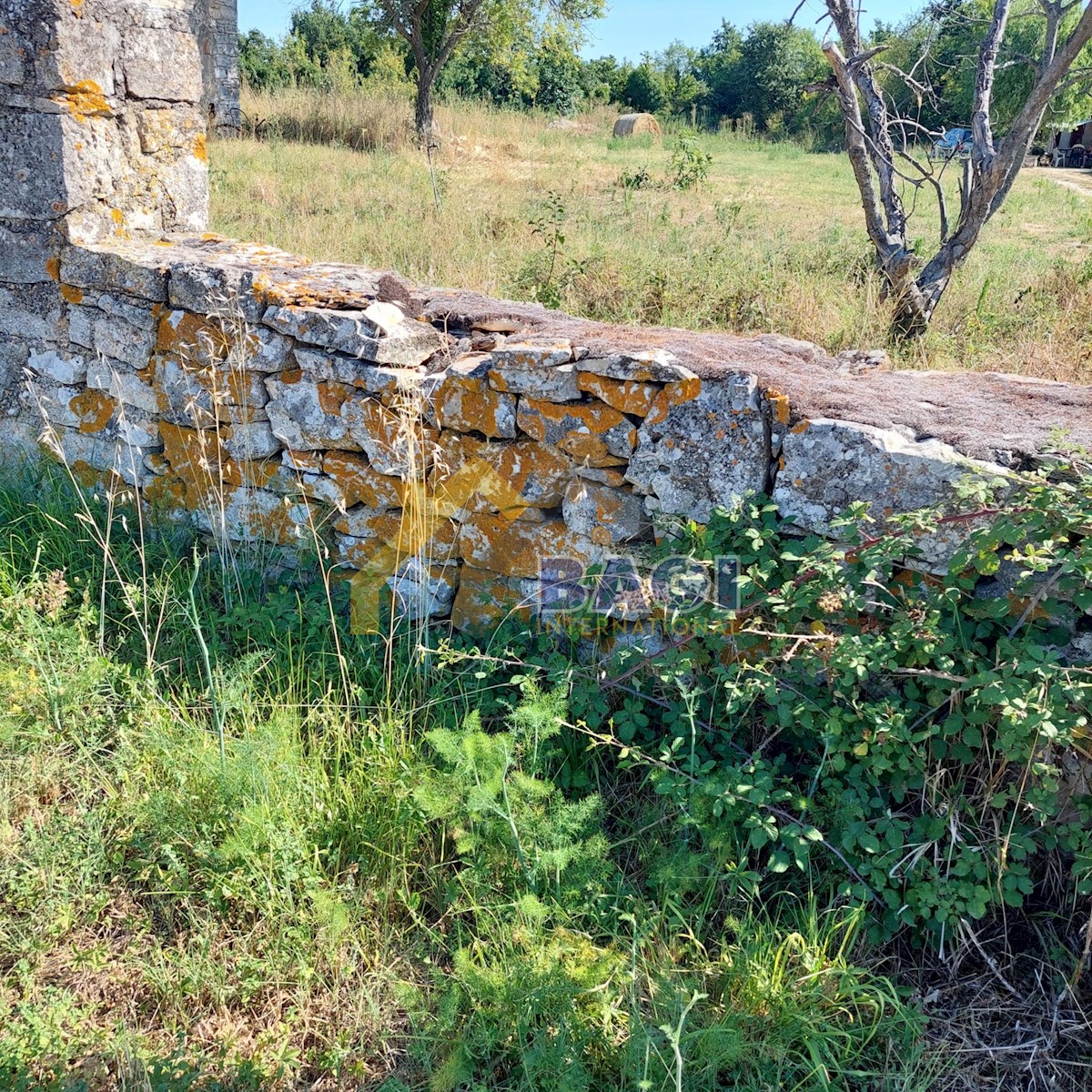 Pozemek Na prodej - ISTARSKA SVETVINČENAT