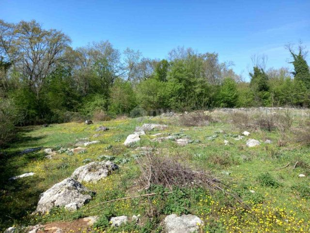 Pozemok na predaj 1214 m² – Rajki