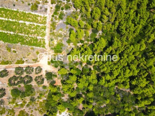 Działka na sprzedaż 190000 m² – Popova Luka