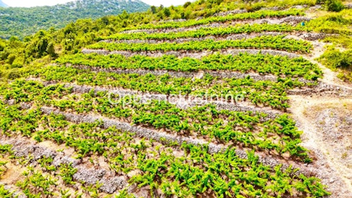 Terreno In vendita - DUBROVAČKO-NERETVANSKA JANJINA