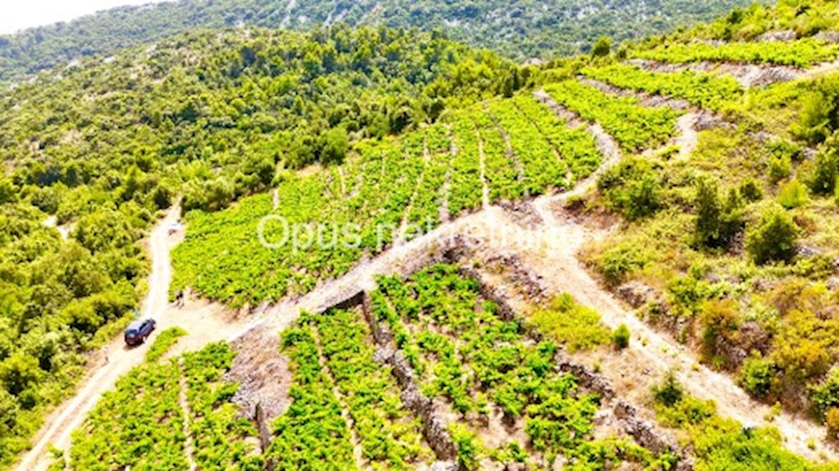 Terreno In vendita - DUBROVAČKO-NERETVANSKA JANJINA