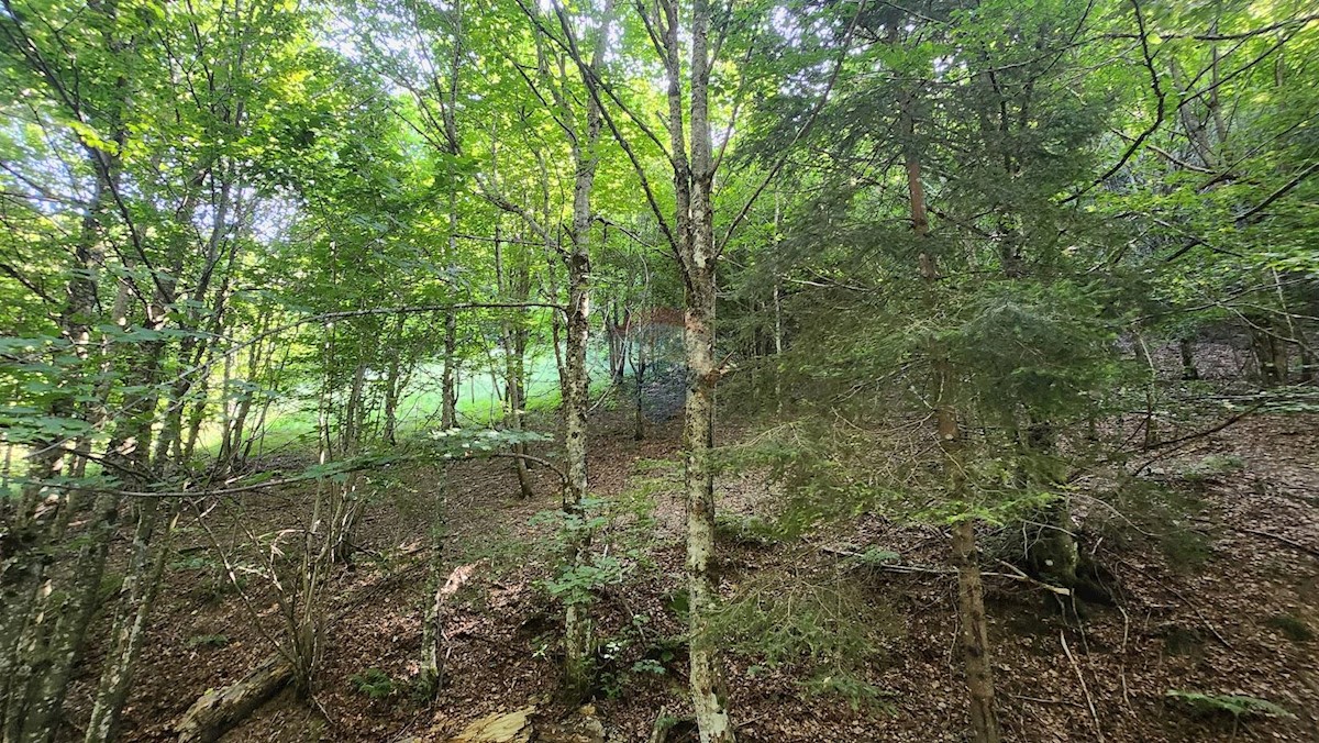 Parcela Naprodaj - PRIMORSKO-GORANSKA Mrkopalj
