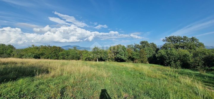 Land for sale 4950 m² – Pićan